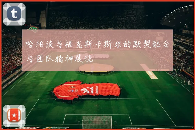 哈珀谈与福克斯卡斯尔的默契配合与团队精神展现