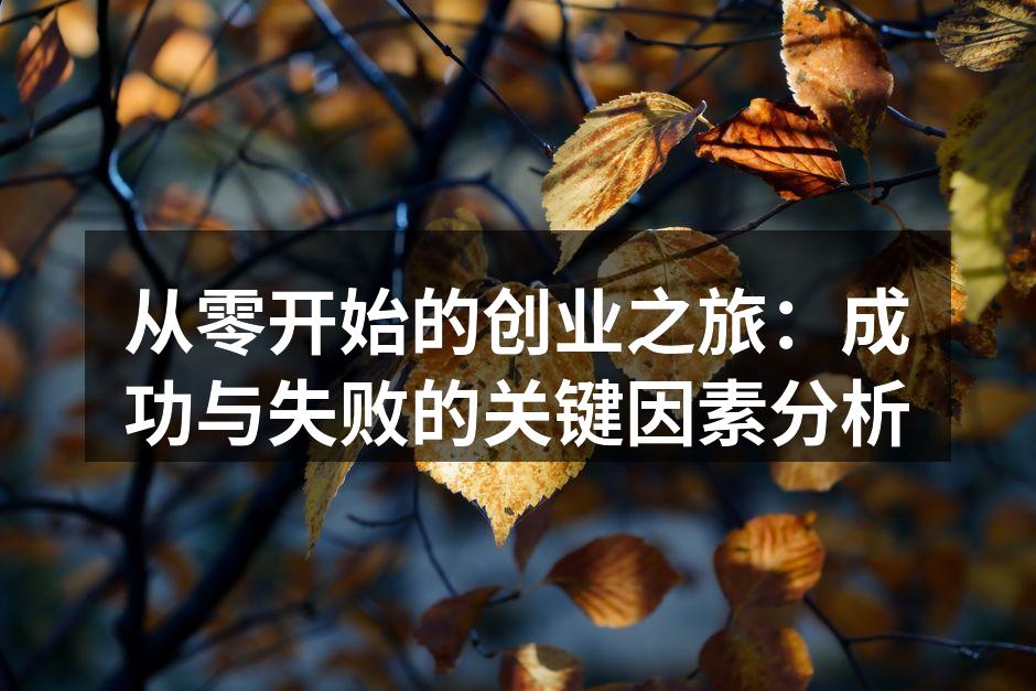 从零开始的创业之旅：成功与失败的关键因素分析